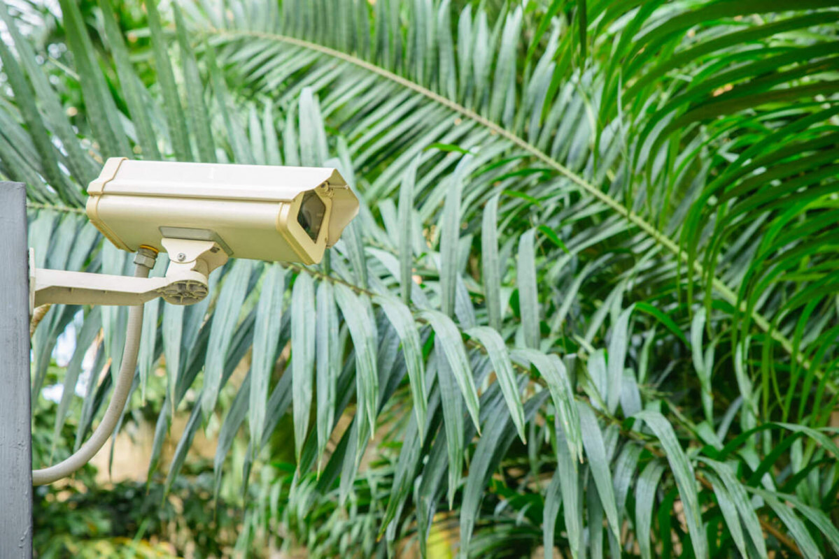 Camara de seguridad 1600 1067