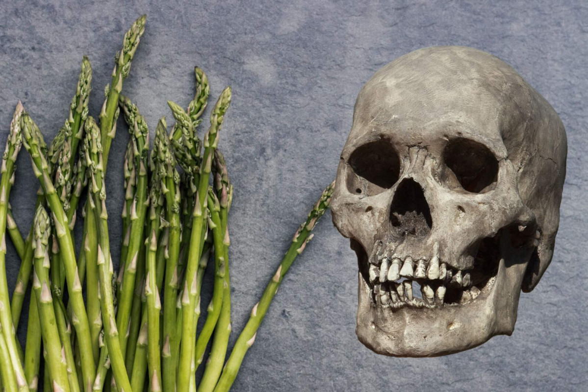 Esparragos calavera 1600 1067