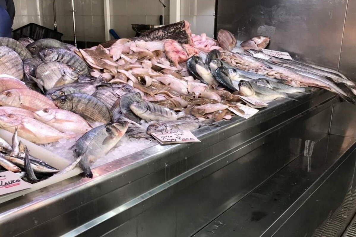 Europapress 1506525 pescados 1600 1067