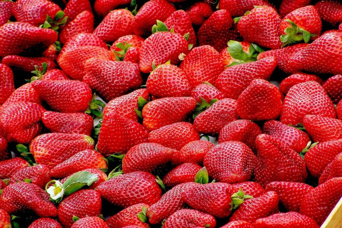 Europapress 5828272 fresas 1600 1067