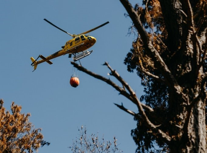 Detenen l'autor de quinze incendis a Tenerife