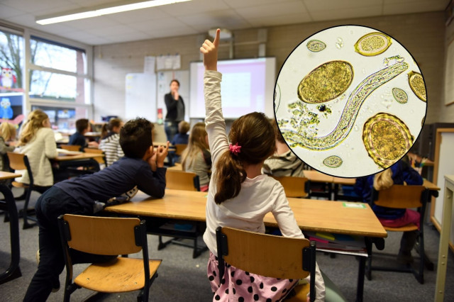 Moren dos nens de 5 i 6 anys per un brot de giardiasi a l'escola