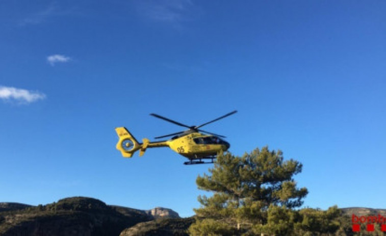Una vaca envesteix una dona a Coll d'Arès (Girona)