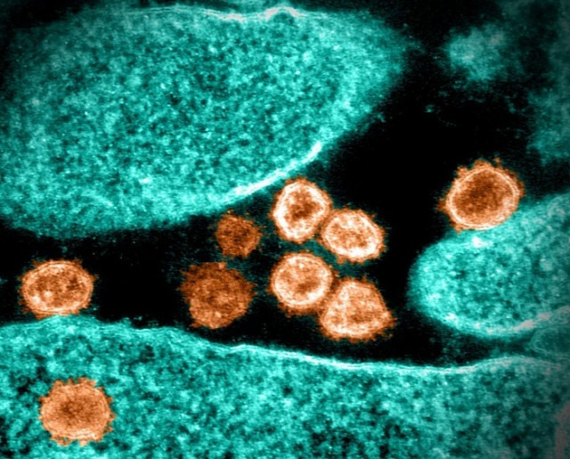 Es disparen els casos de Covid a tot el món: alerten del risc d'aparició de noves variants