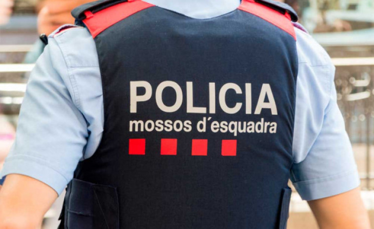 Desmantellen una plantació de prop de 900 plantes de marihuana a Lleida