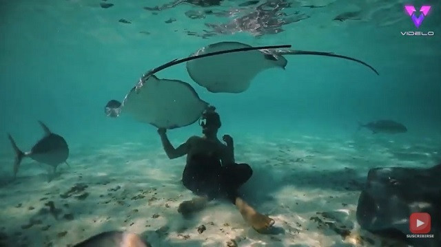 Mantaraya