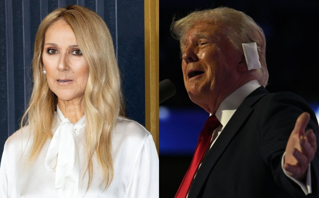 EuropaPress 6156642 celine dion carga contra donald trump usar campana cancion titanic