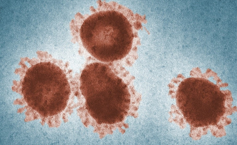 Els cinc virus que dificulten l'hivern a la sanitat espanyola