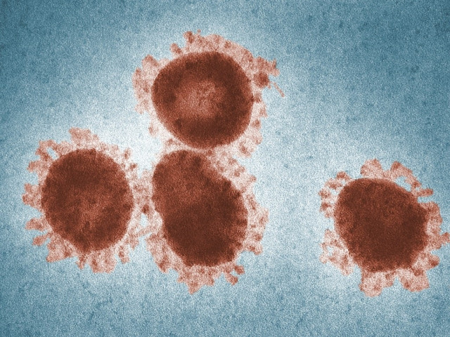 Els cinc virus que dificulten l'hivern a la sanitat espanyola