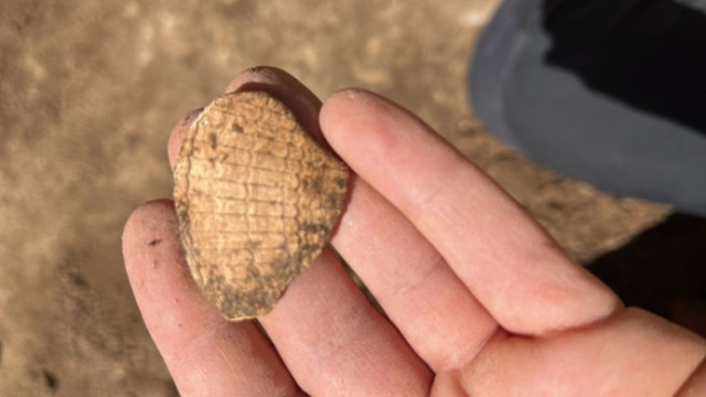 Localitzat un jaciment prehistòric a la muntanya de Montjuïc