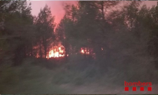 Incendio3 1