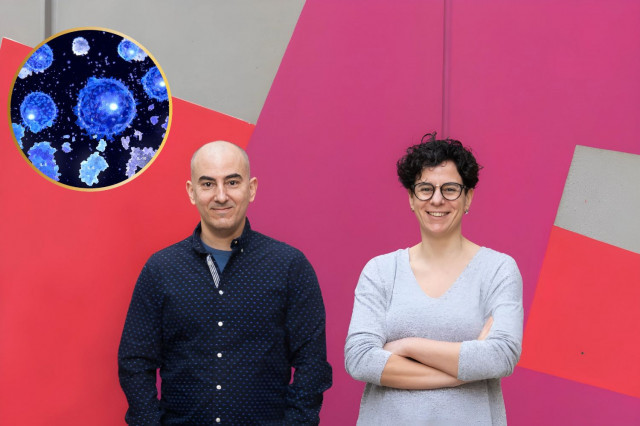 Lluita contra el càncer: investigadors de l'IRB de Barcelona descobreixen les 5 claus de l'èxit de la immunoteràpia