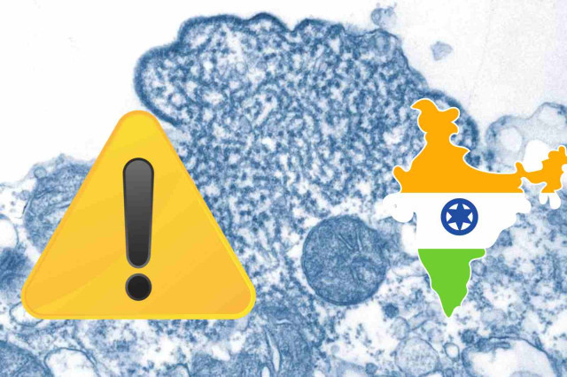 Alerta a l'Índia després de dues morts per un misteriós virus altament mortal