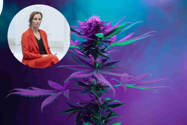 Espanya aprova l'ús de cànnabis medicinal per a malalts de càncer i persones amb dolor crònic