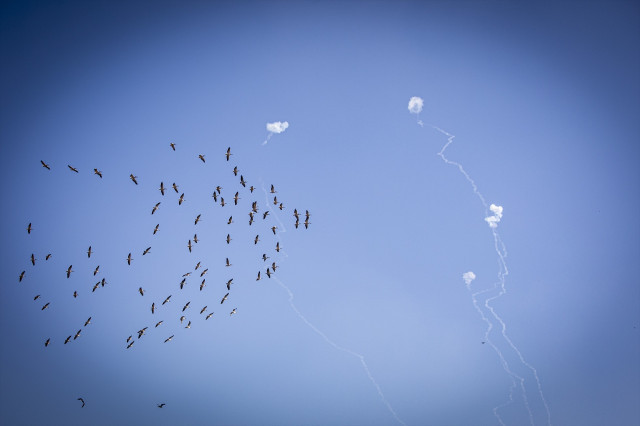 EuropaPress 6234774 25 september 2024 israel zichron yaakov pelicans fly under iron dome