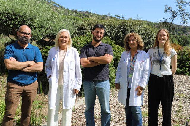 La teràpia que podria millorar el tractament de l'esclerosi múltiple