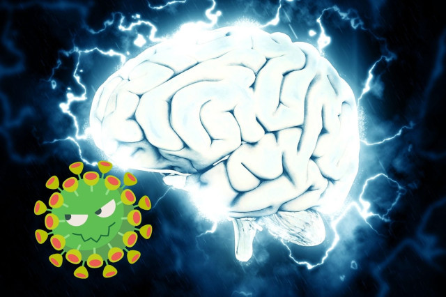 El Covid-19 podria inflamar el “centre de control” del cervell: així s'expliquen diversos símptomes