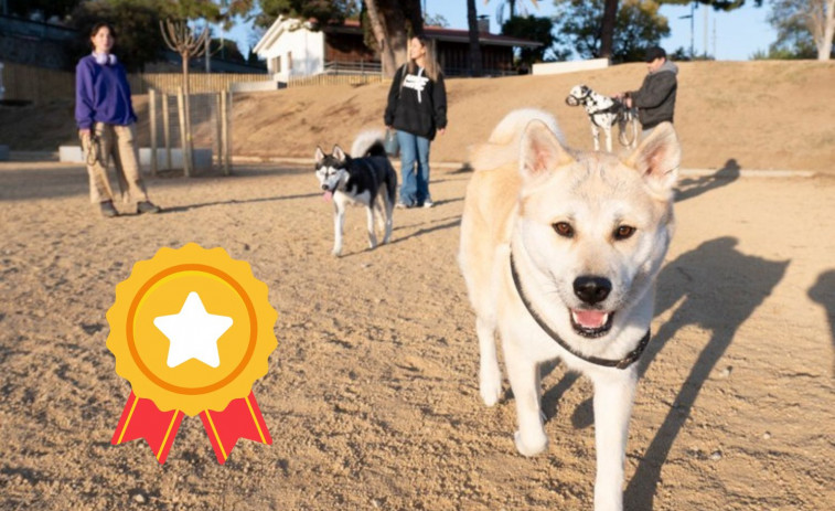 Mataró, premiada per les seves polítiques de Benestar Animal