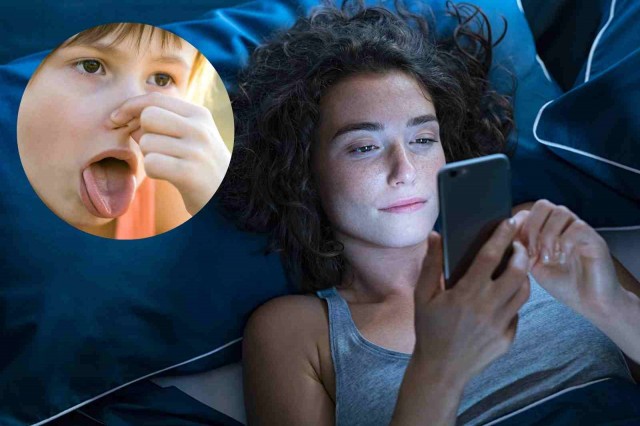 Dorms amb el teu telèfon? Té els mateixos bacteris que els excrements de les paneroles