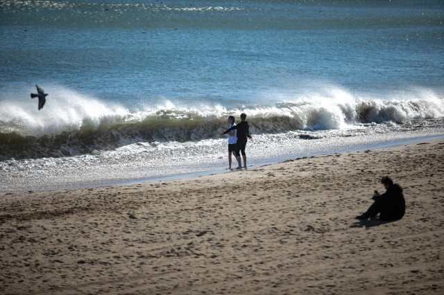 Surfistes envaeixen les platges de Barcelona davant d'un avís d'onatge!