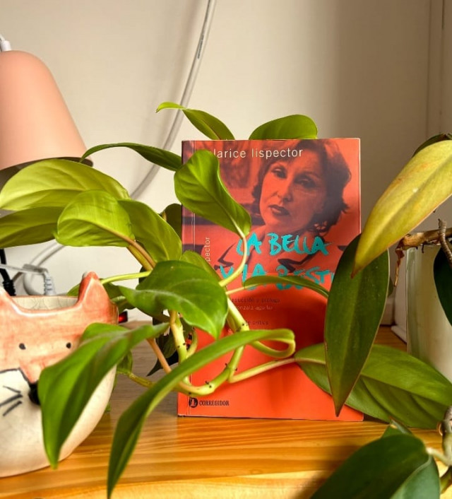 La bella i la bèstia de Clarice