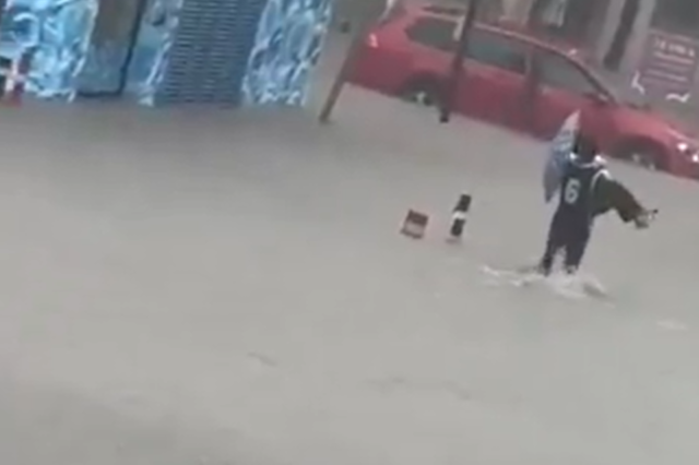 VÍDEO: Un jove rescata una dona gran que s'havia quedat atrapada enmig de la inundació a Màlaga