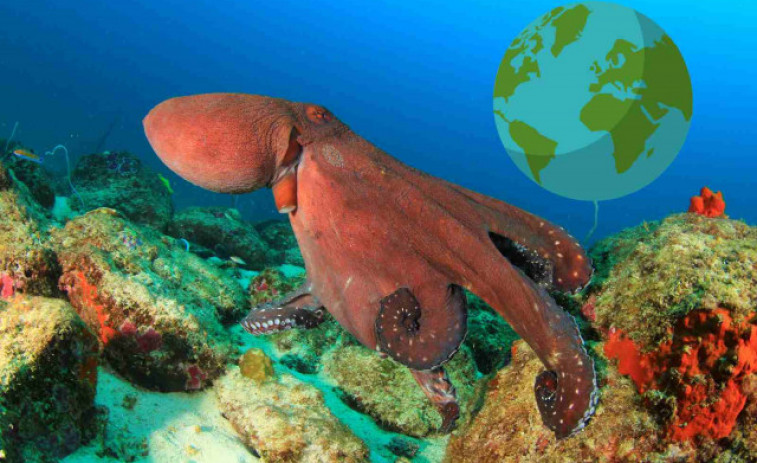 Aquesta és la criatura que governarà la Terra si tots els humans moren