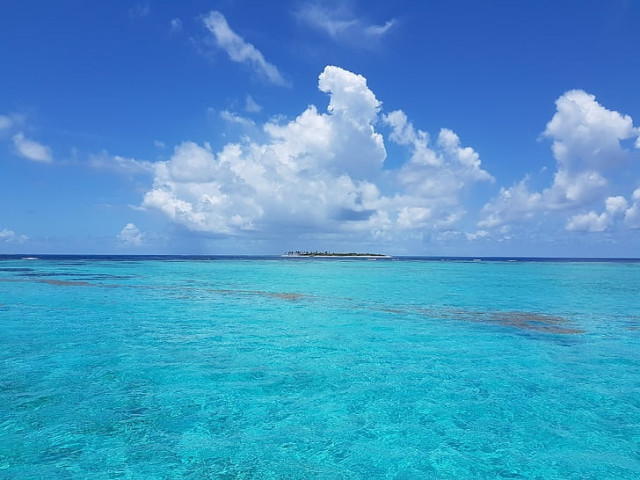 Bahames inicia un projecte per millorar la conservació dels oceans