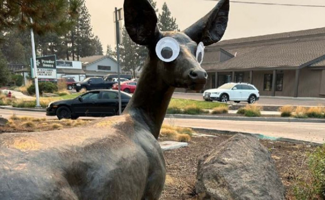 Humor o vandalisme? Polèmica per la moda de posar ulls saltons en obres d'art públic