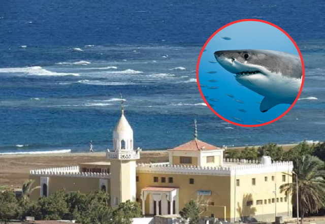 Un tauró mata un turista i en fereix un altre en un atac al Mar Roig