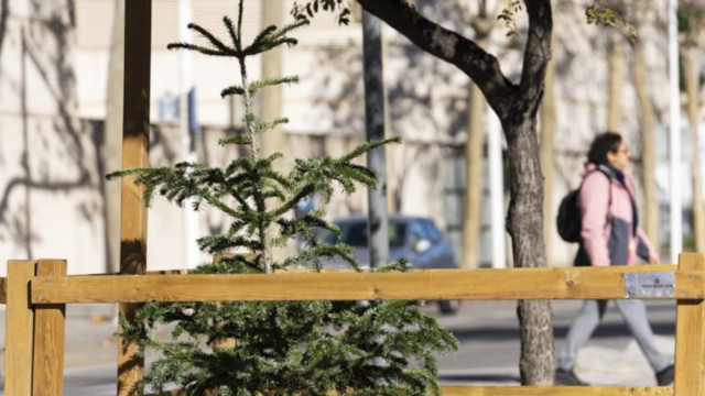 Adeu, Nadal: Barcelona habilita més de 200 punts per portar els Arbres