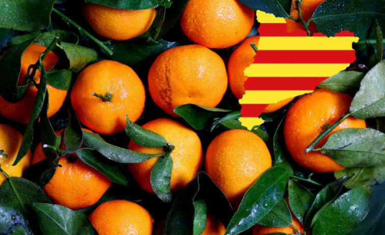 Les millors fruites de temporada per menjar al febrer a Catalunya