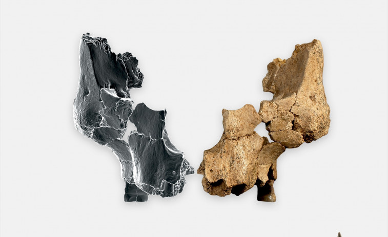 Científics catalans troben a Atapuerca la cara humana més antiga coneguda d'Europa occidental