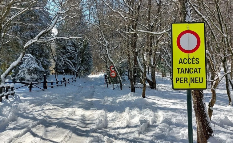 Afectacions al Parc Natural del Montseny a causa de la neu