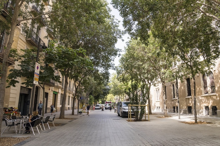 Cop judicial: el TSJC tomba l'eix verd de Consell de Cent a Barcelona