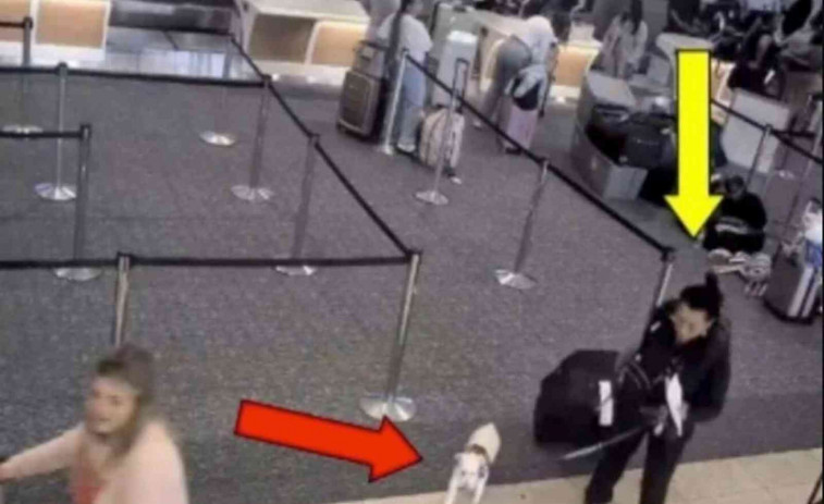 Una dona ofega el seu gos en el bany de l'aeroport després d'impedir-li abordar un vol amb ell