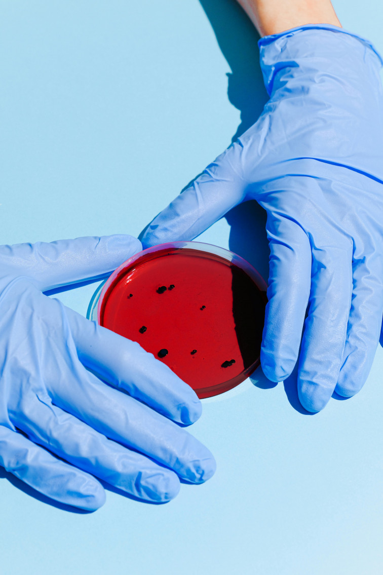IDIBELL i l'Hospital de Bellvitge alerten d'infeccions greus a causa de la resistència als antibiòtics del bacteri 