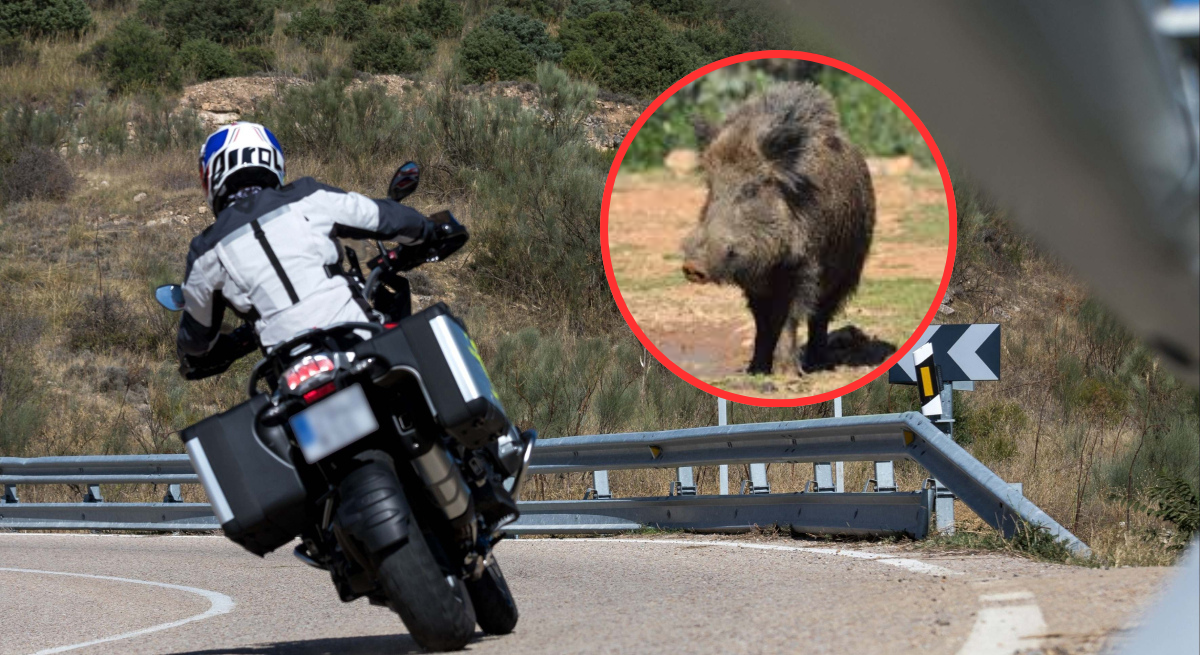 Catalunyapress motosenglar