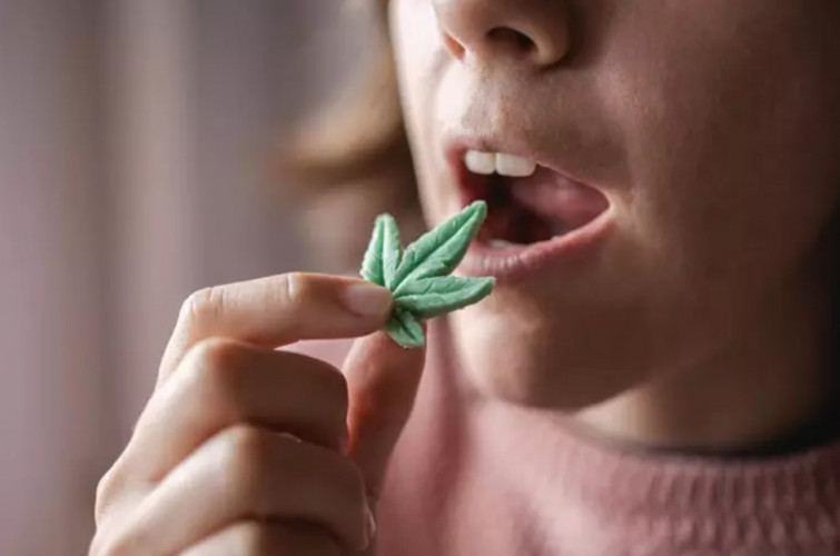 És el cànnabis medicinal tan beneficiós? L'estudi definitiu sobre aquest producte