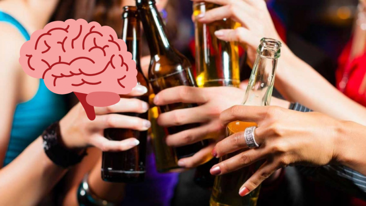 Aquests són els efectes nocius de l'alcohol al cervell després d'un mes d'abús