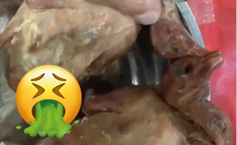 Servien coloms en comptes d'ànec: horror després del tancament d'un restaurant xinès a Madrid