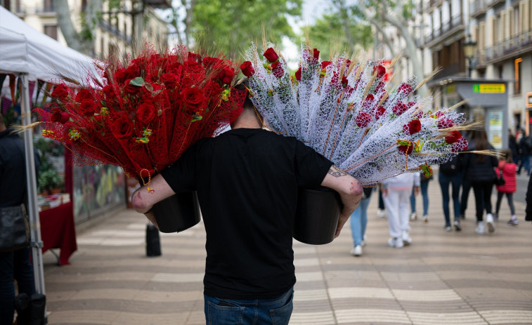Així se celebrarà el dia de Sant Jordi a Madrid: les activitats que ha organitzat el Govern