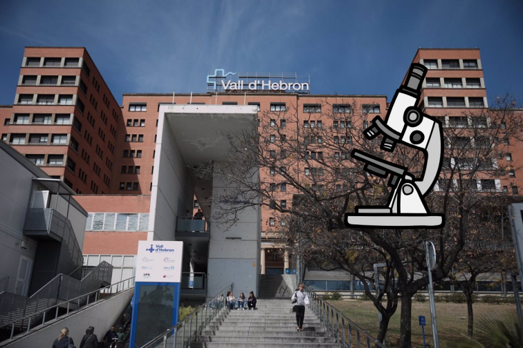 La Vall d’Hebron revela com la radiació UV en nounats pot causar melanomes