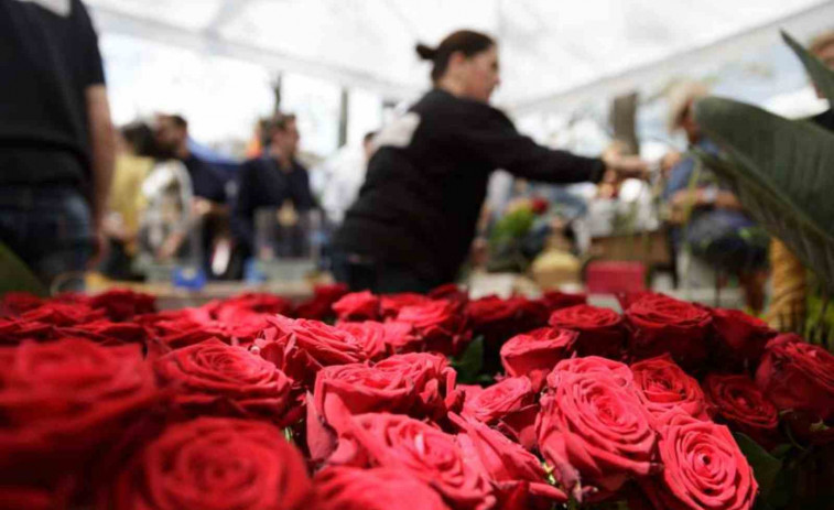Girona vibra amb Sant Jordi 2025: El pla perfecte amb llibres i roses!