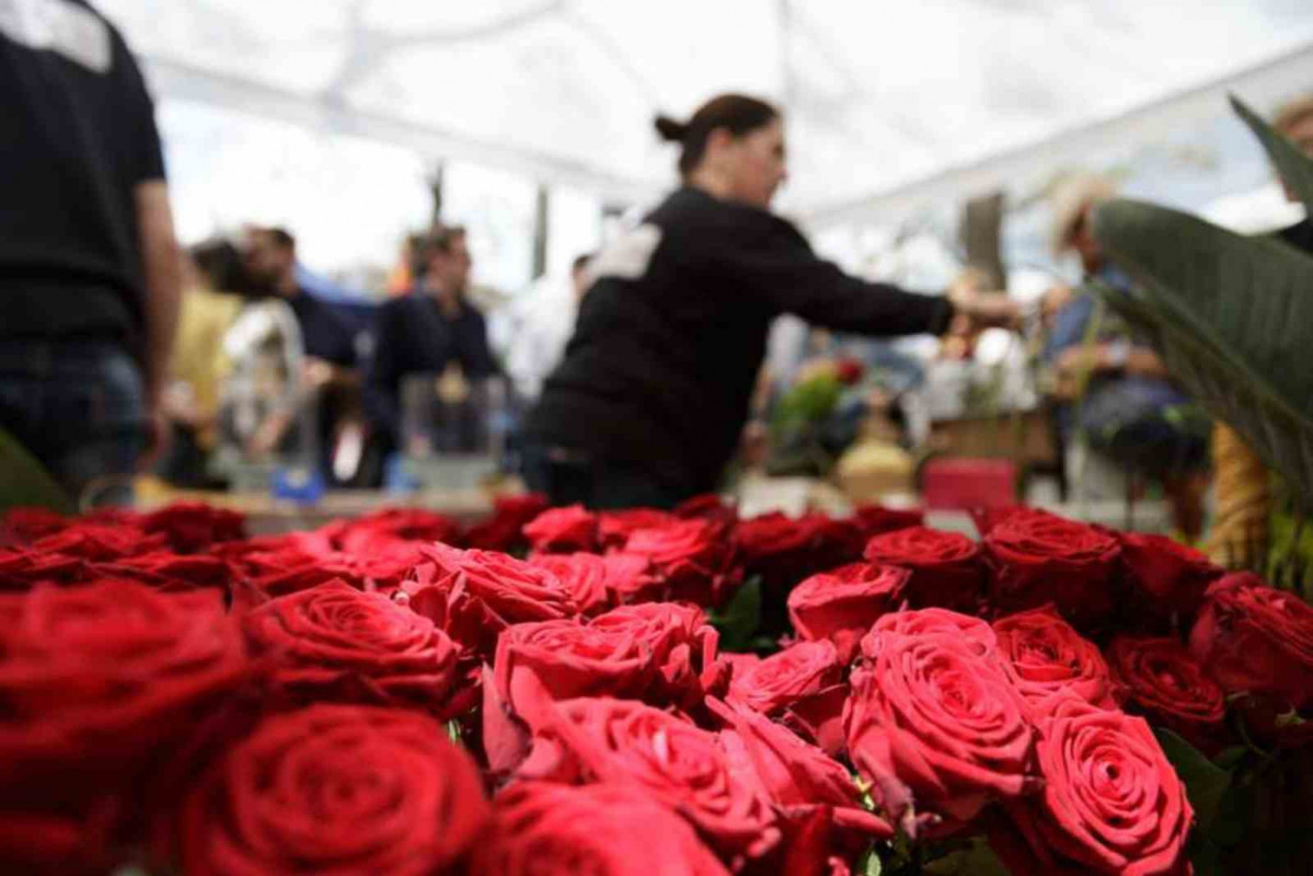 Sant Jordi