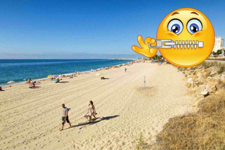 Descobreix la platja 