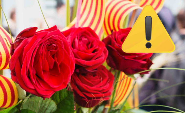 Aquest Sant Jordi 2025 a Tarragona i Reus serà èpic! Descobreix totes les activitats i sorpreses