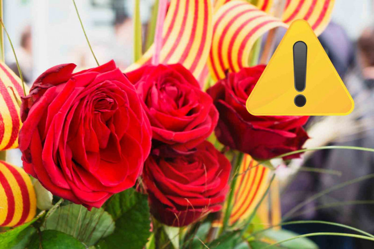 Aquest Sant Jordi 2025 a Tarragona i Reus serà èpic! Descobreix totes les activitats i sorpreses