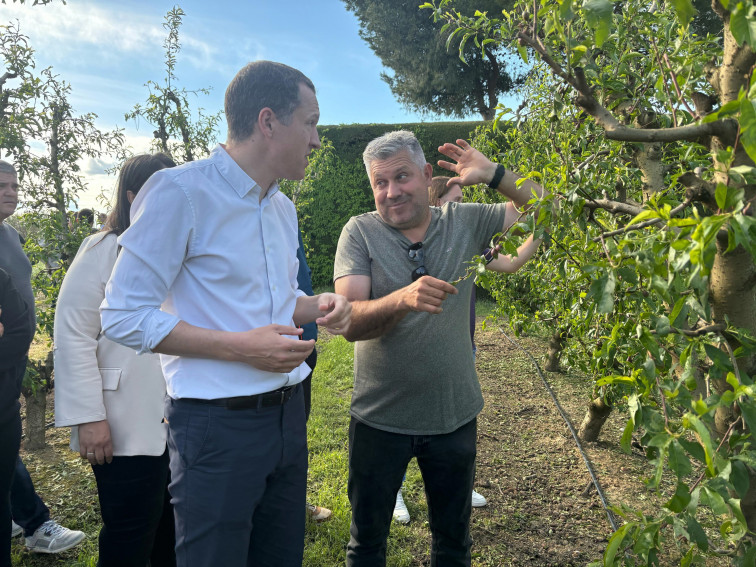 Devastació total: Agricultura confirma la pèrdua del 100% en cultius després d'un violent aiguat de pedra