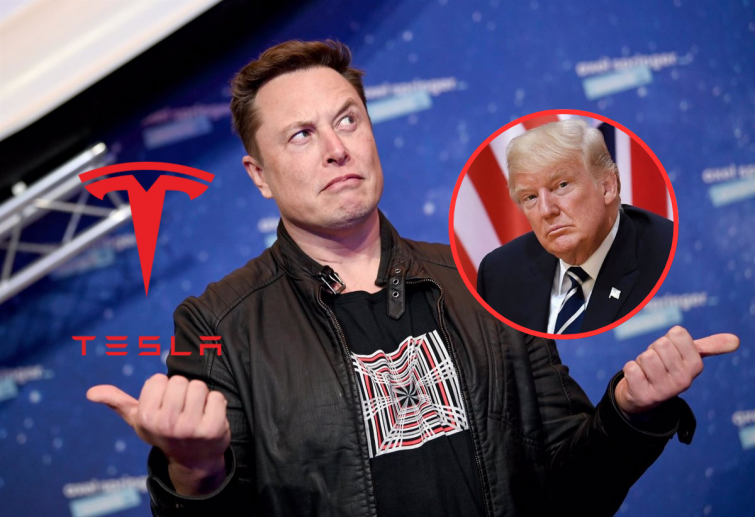 Elon Musk assegura que està 